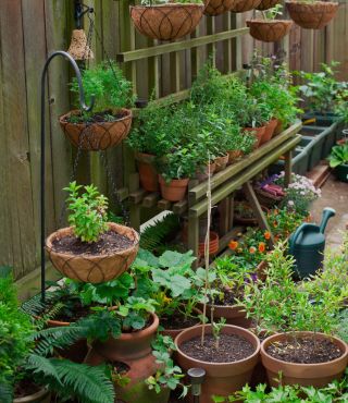 Vertical Vegetable Garden