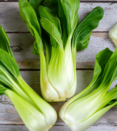 Bok Choy Growing Stages