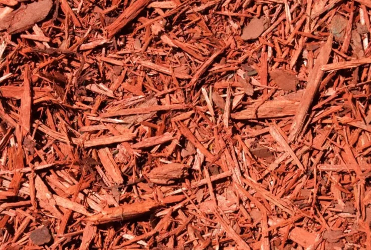 cedar mulch